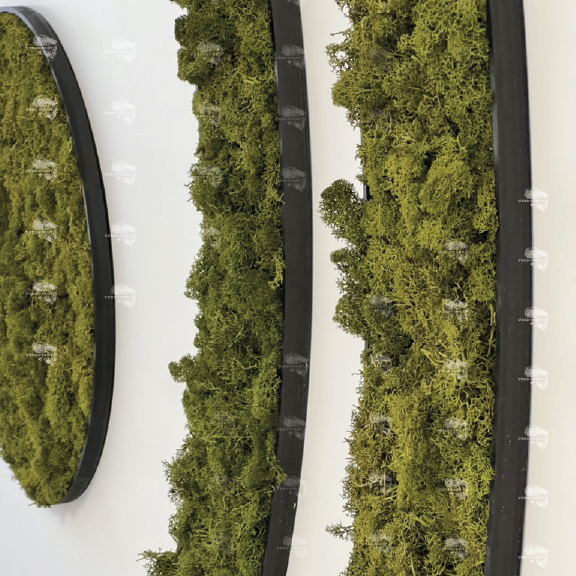 Logo Vegetal en lichen stabilisé Mousses vertes disposées en bandes dans des cadres noir sur un fond blanc.