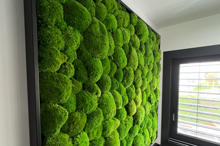 logo-vegetal-lumineux-sur-mesure. Texte stylisé sur un fond de verdure luxuriante.