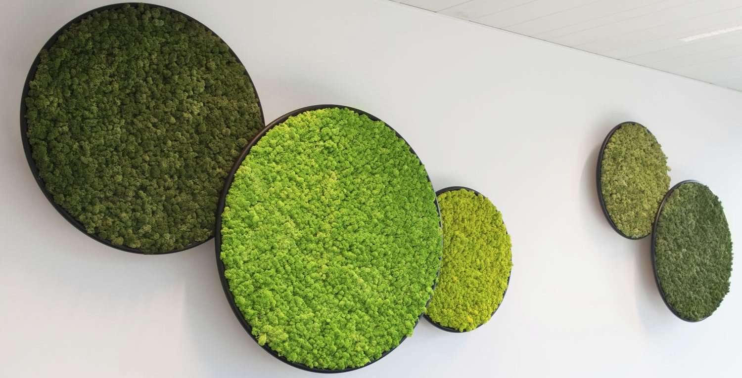 Module acoustique en Vegetal stabilisé Panneaux décoratifs ronds en mousse verte de différentes teintes.