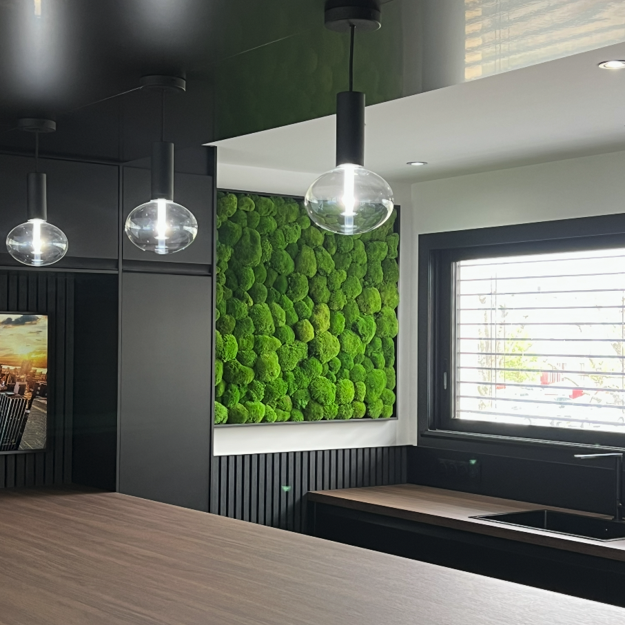 Cadre Vegetal, boule mousse Cuisine moderne avec un mur végétal.